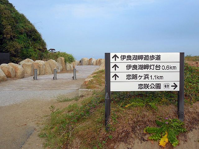 伊良湖岬遊歩道