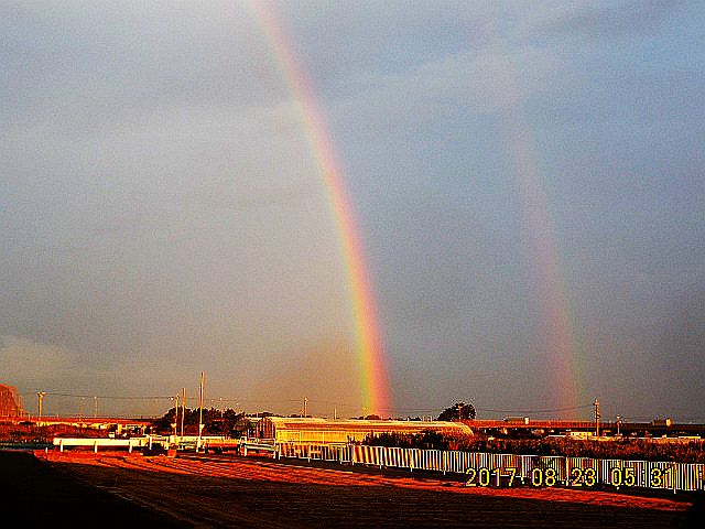 ��d�ɉ˂�������